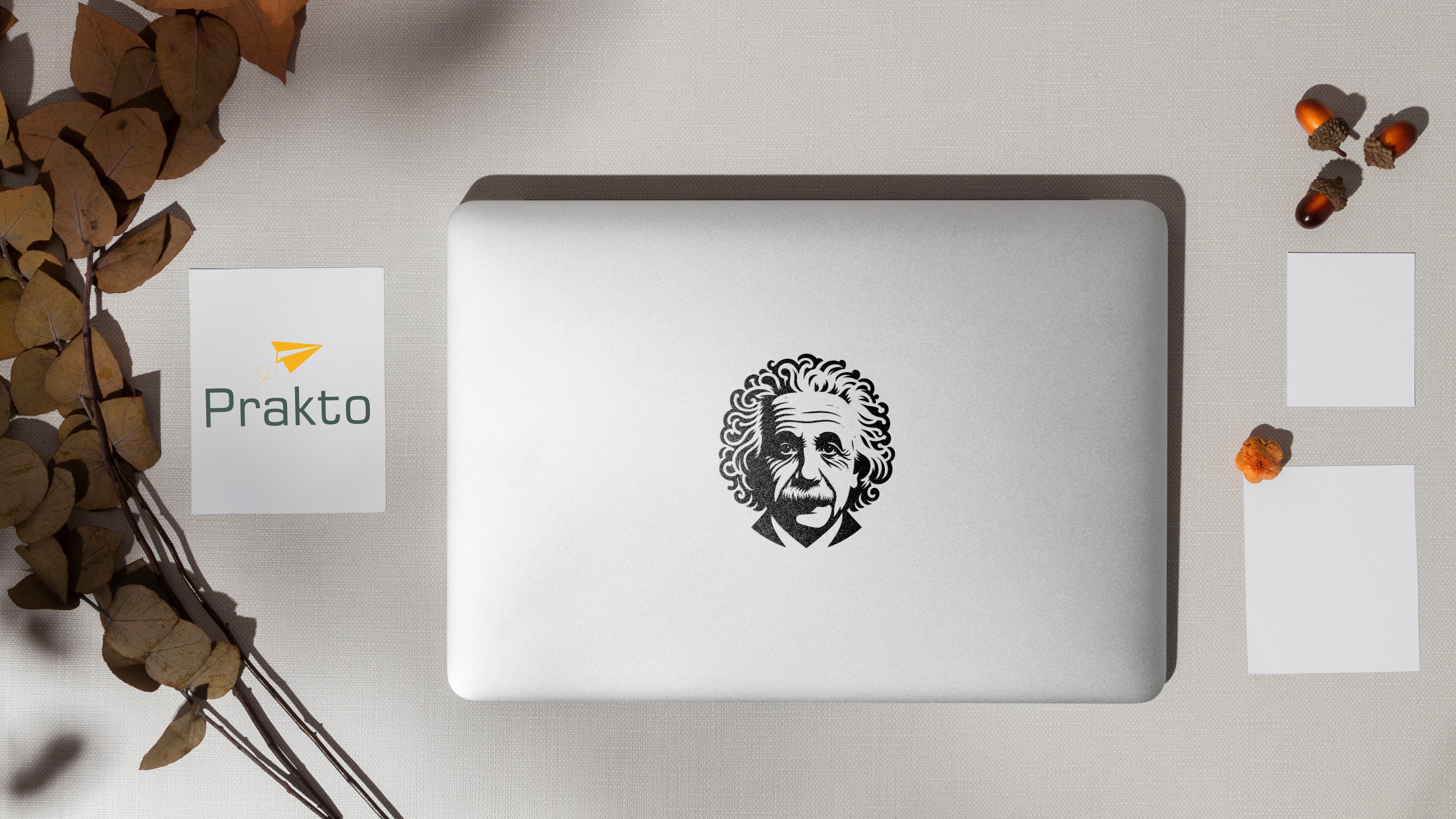 Albert Einstein Silhouette Wandtattoo & Auto Aufkleber – Hochwertiger Vinyl Sticker für Laptop, Büro & Wand