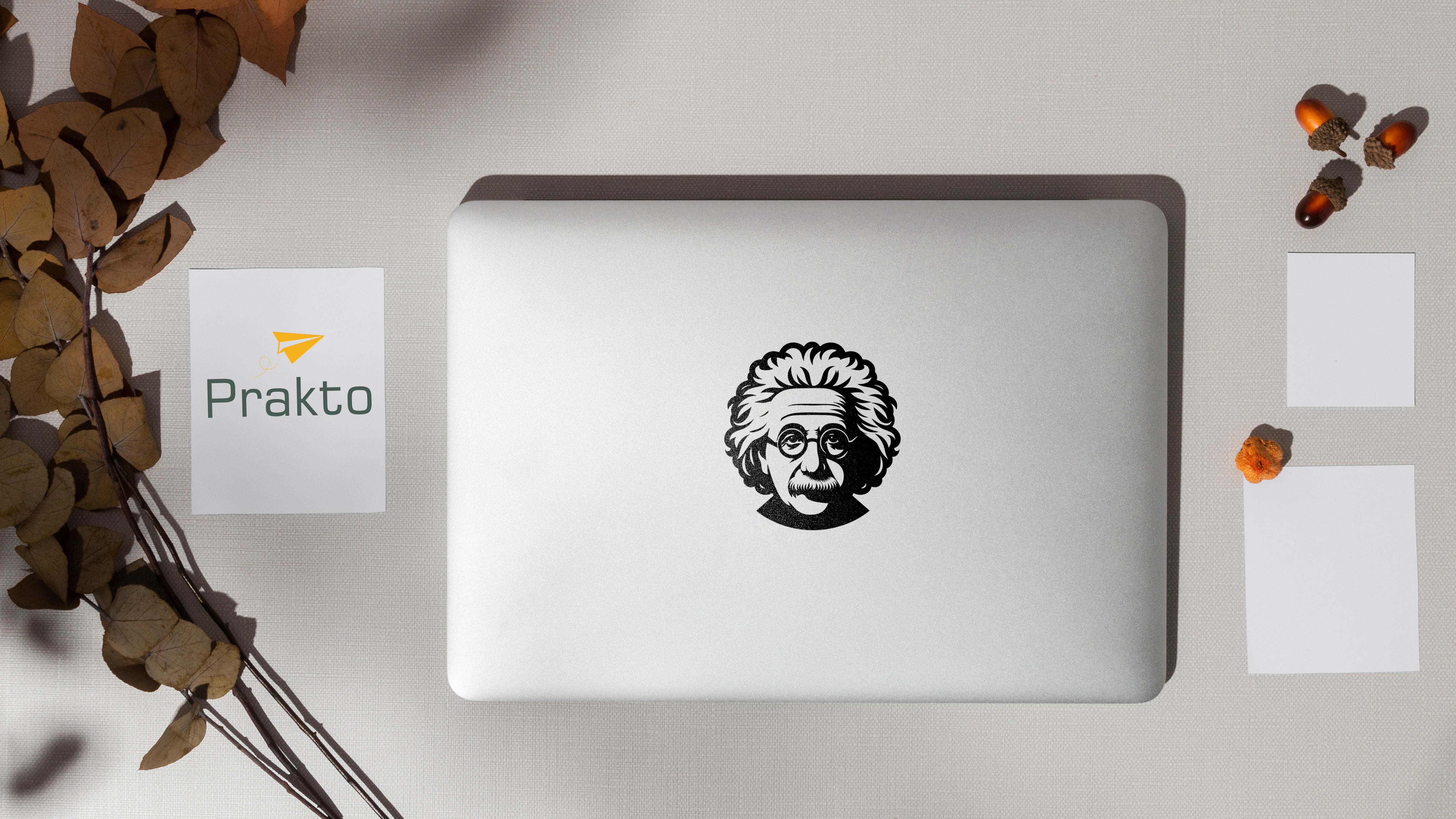 Einstein Aufkleber – Minimalistisches Wandtattoo & Vinyl Sticker für Wand, Auto & Laptop